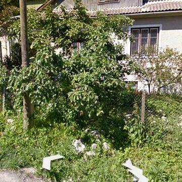 Будинок з городом