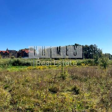 Виноградна