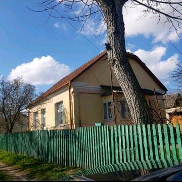 Здам в оренду будинок в Стебнику