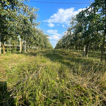 Покутинці, Хмельницький, Хмельницька область 100000.0 USD