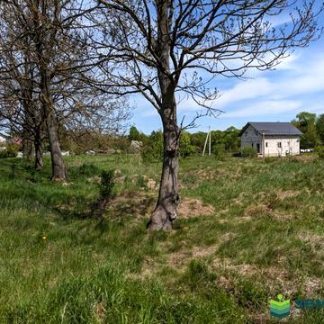 Січових Стрільців