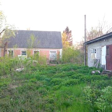 Продається будинок із фермою
