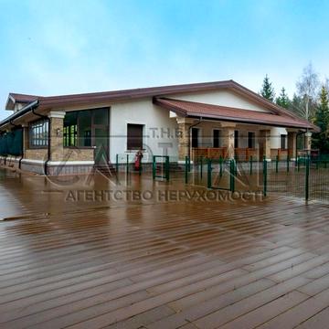 Дубовий гай