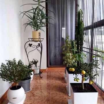 1-ком. квартира на Черемушках. Ул. Филатова/Рабина. 1S75