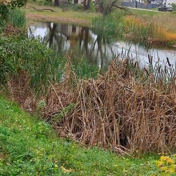 Продається будинок в м. Бориспіль.