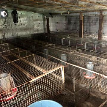 Миру вул. (Культурна), 44