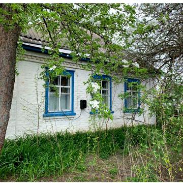 Будинок у селі Старосілля