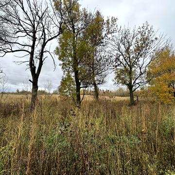 Козаровичі, Вишгородський, Київська область 44000.0 USD