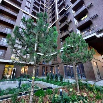 Продам 1 ком квартиру. Адмиральский проспект. Ремонт.