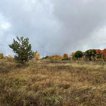 Димер, Вишгородський, Київська область 8000.0 USD