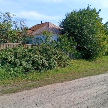 Продам будинок в Олександрівці  з великим садом
