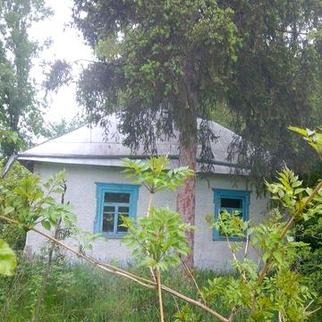 Продам хату дешово в с. Моринці
