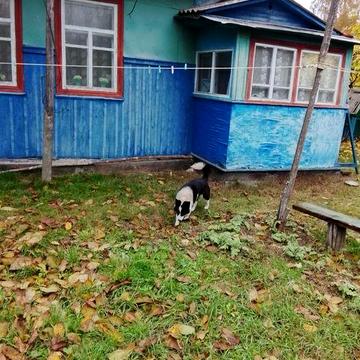 Продається будинок в Селі