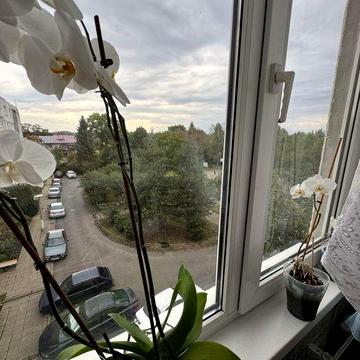 Продається 2-х кімн. квартира у Богородчанах (16км від Івано-Франківсь