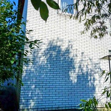 Виноградна вул.