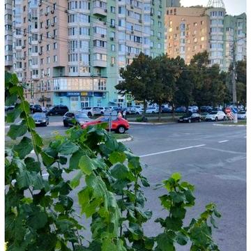 Оренда 2 комн. квартири від власника по пр. Шевченко, 2г, центр міста