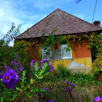 Будинок в селі. Зарічово