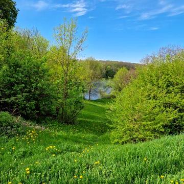 Будинок на першій лінії ставка