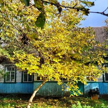 Продається будинок, Київська область, Бучанського р., с. Андріївка