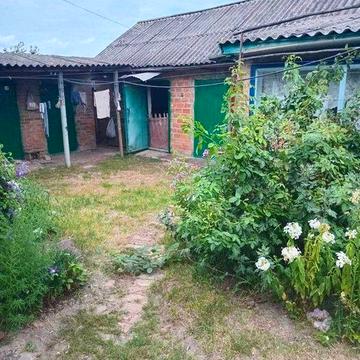 Затишний будинок