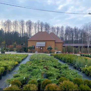 Урочище Потоки, 3