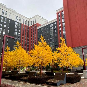 Євро 2 з виїздом зручним до Києва. ЖК Ірпінь Сіті