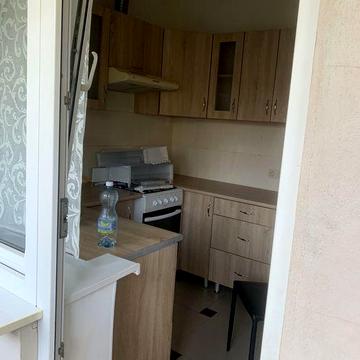 Діокімнатна квартира біля Центрального парку. Можна з котом