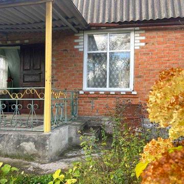 Продам будинок в с.Рибаче 7811