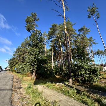 Гостомельське шосе