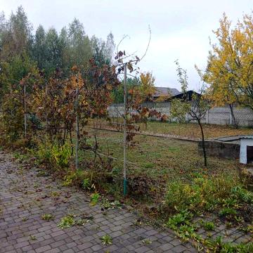 аренда будинку, замістській будинок