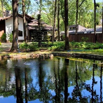 Офіс продажу селища "Форест" (Forest) пропонує дім-шале. Лісопарк