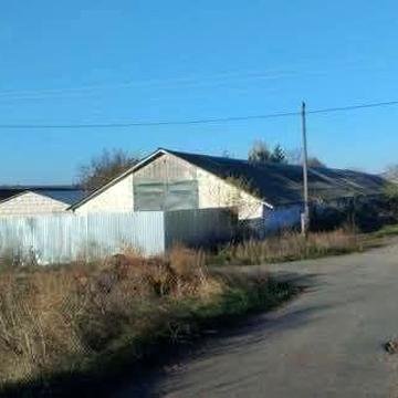 Продаж будівель у Дашеві по вул. Горького, 41ж