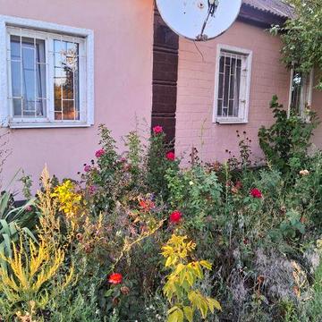 Продам дом с.Ульяновка в хорошем жилом состоянии.