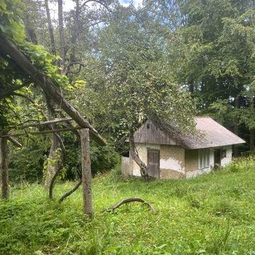 Продається дім в карпатах