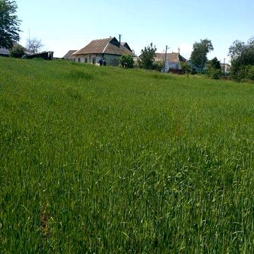 Продаж будиночку в селі Богданівка