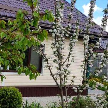 Продам дачу с домом в Копылах