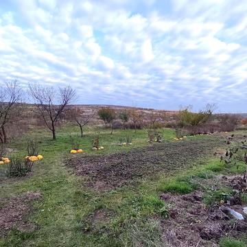 Малий Житин, Рівненський, Рівненська область 15000.0 USD