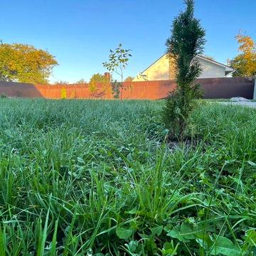 Продається будинок, повністю готовий для проживання