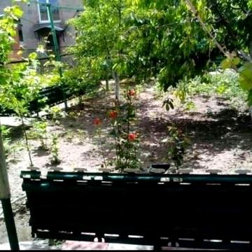 Продам 2 будинки