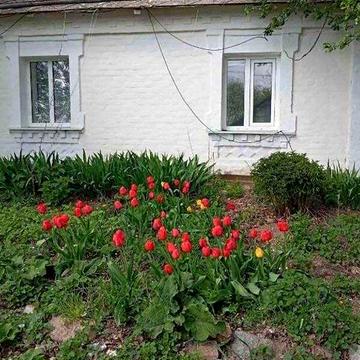 Продаж 4к Дім Капицівка вулиця