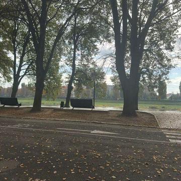 Здається 1 кімнатна мансарда