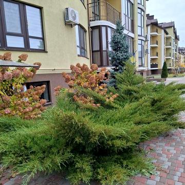 Оренда двохкімнатної квартири по вул.Фельдмана, в Броварах
