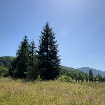 Стара Гута, Івано-Франківський, Івано-Франківська область 52700.0 USD