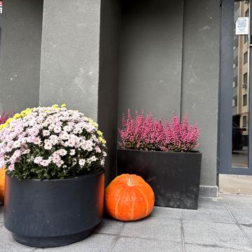 Чумацька вул., 2