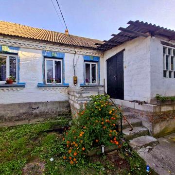 Продам будинок в с.Велика Солтанівка Васильківський р-н