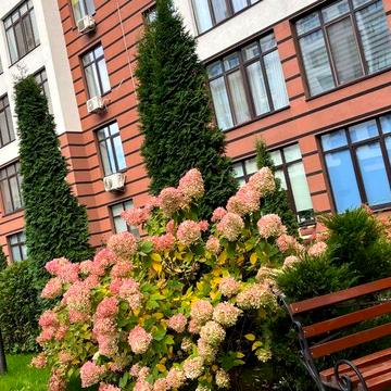 Квартира з ремонтом, сертифікат, єОселя, постанова ЖК Празький квартал