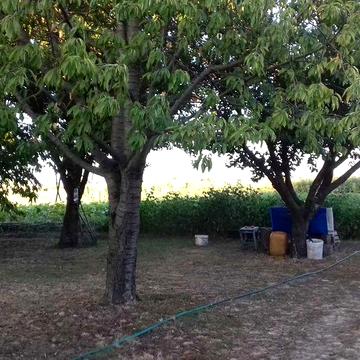 Дом поселок Титорове ( Горького )Днепровский район