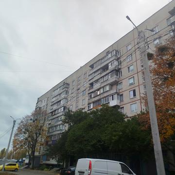 Івана Каркача бульв., 81