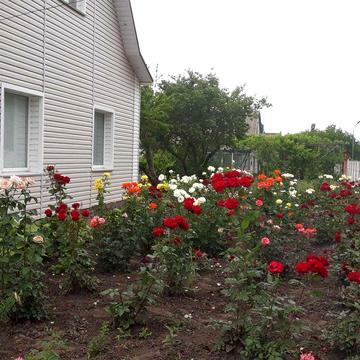 с. Степове Продається будинок 130 кв.м