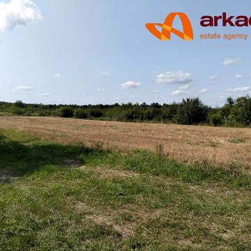 Черніїв, Івано-Франківський, Івано-Франківська область 15000.0 USD